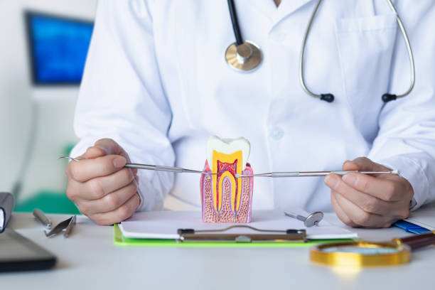 Best Emergency Dentist for Special Needs Patients in Weldon, NC